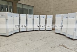 冰柜-北京化學品單門不銹鋼冰柜選購